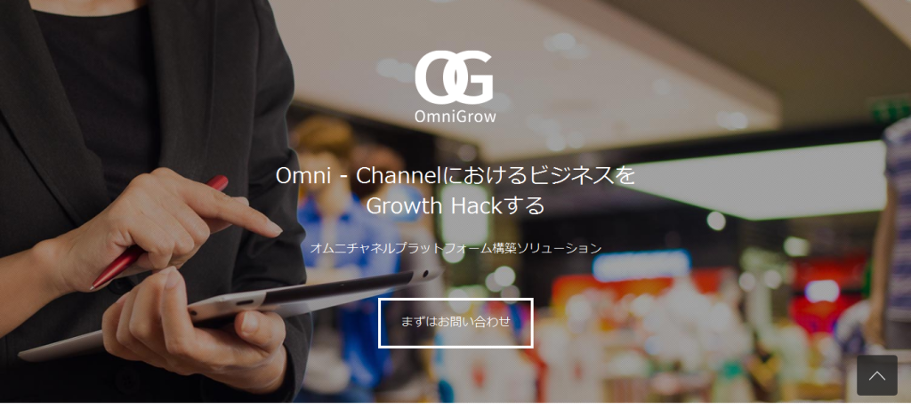 オムニチャネル  ソリューション  株式会社タイレルシステムズ